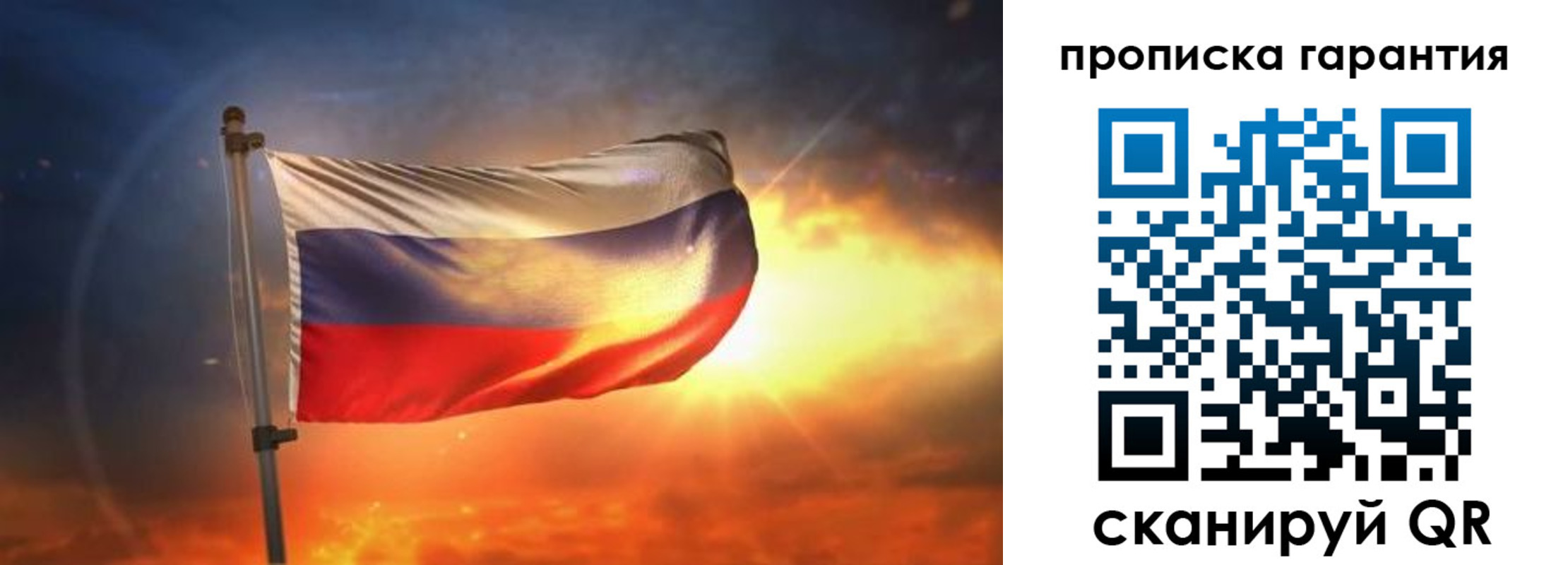 прописка для школы в Коврове